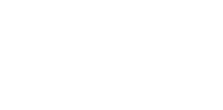 The Aranson Maguire Group